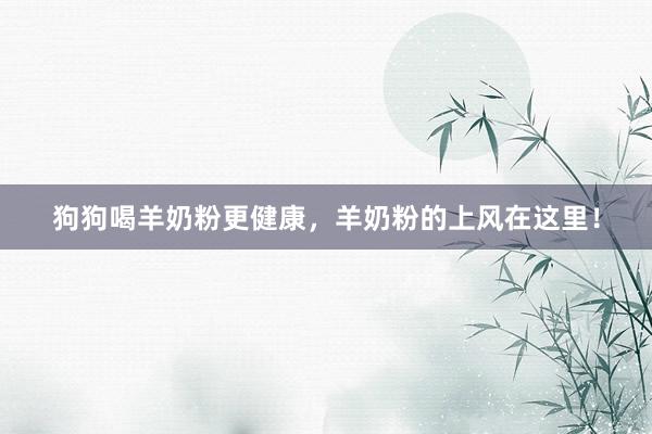 狗狗喝羊奶粉更健康，羊奶粉的上风在这里！