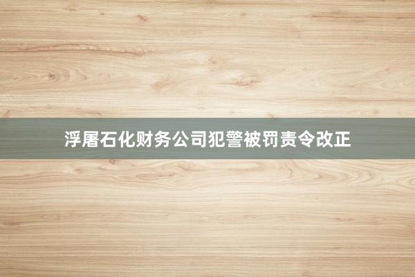 浮屠石化财务公司犯警被罚责令改正