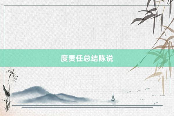 度责任总结陈说
