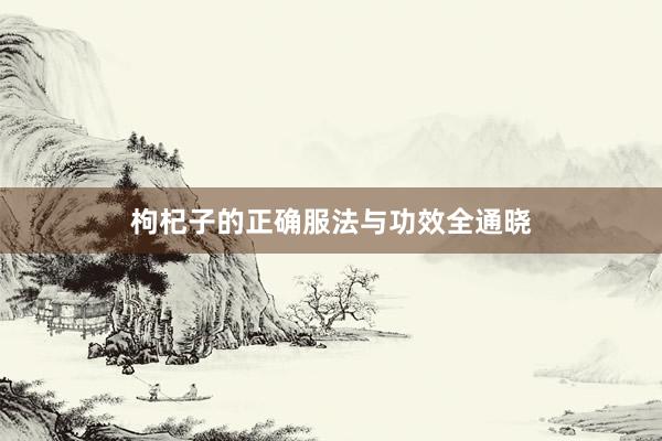 枸杞子的正确服法与功效全通晓