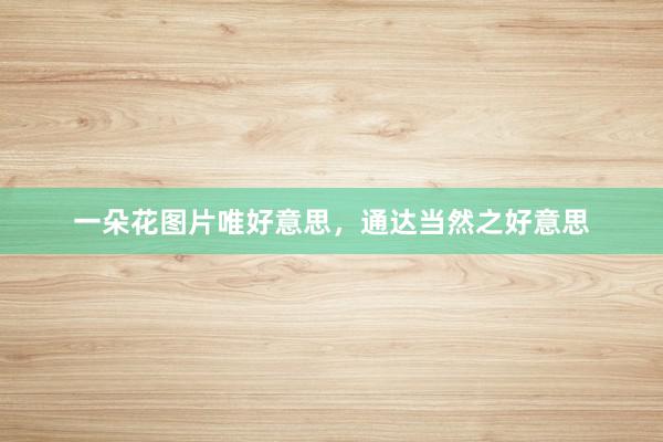 一朵花图片唯好意思，通达当然之好意思
