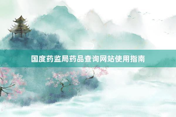 国度药监局药品查询网站使用指南